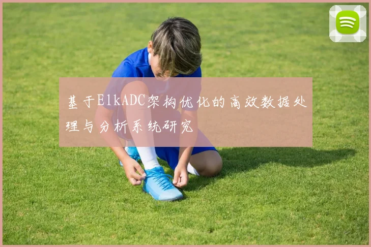 基于ElkADC架构优化的高效数据处理与分析系统研究