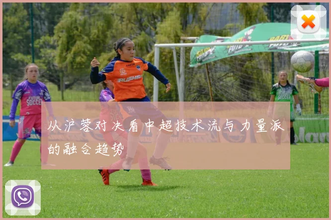 从沪蓉对决看中超技术流与力量派的融合趋势